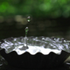 Illustration for article titled Shooting Challenge: Water Drop Gallery Part 3